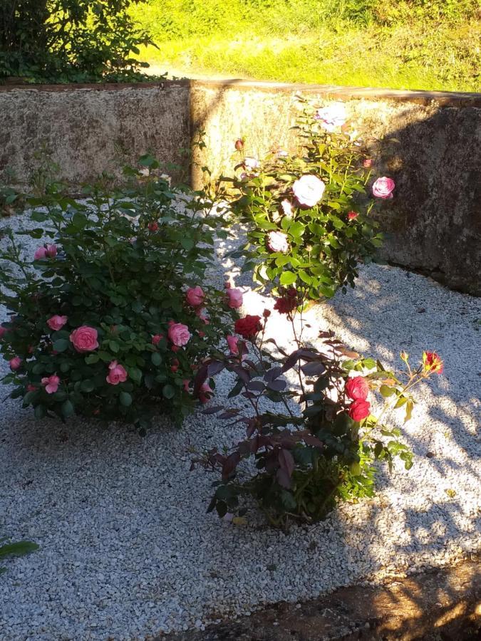 Maison Belvoir Le Fraysse Luaran gambar